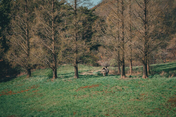 용현 저수지 풍경