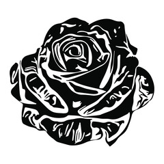 Rose Flower Watercolor Hand drawn doodle shape  Lines.  Trendy Modern Watercolor Spots, drops, Painted style texture, poster with different doodle elements.Urban bright youth textiles sample