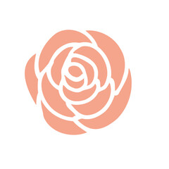 Pink rose flower on white background, logo, icon for design