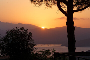 Orangener Sonnenuntergang hinter Bergen mit Baum im Vordergrund, Capoliveri, Elba, Italien