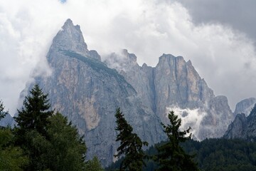 Gebirge in Wolken geh&uuml;llt mit B&auml;umen im Vordergrund, Schlern, S&uuml;dtirol, Dolomiten, Italien
