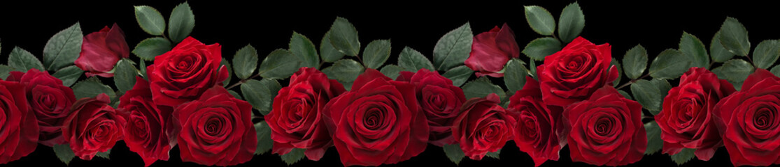 Seamless border with flowers. Red roses isolated on black background.