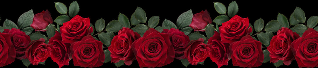 Seamless border with flowers. Red roses isolated on black background. © RinaM