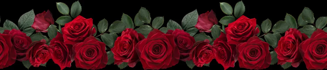  Seamless border with flowers. Red roses isolated on black background. © RinaM