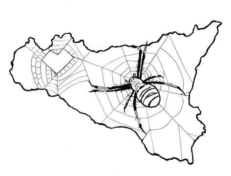 Illustration of a wasp spider (Argiope bruennichi) on a web that is inside the outline of the Sicily island