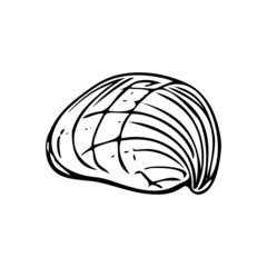 Doodle seashell, hand-drawn sea symbol. Fossil conch painted by ink, pen. Line, minimalism. Simple sketchy icon. Isolated. Vector illustration.