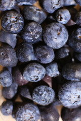 Freshly picked blueberries close up Selective focus