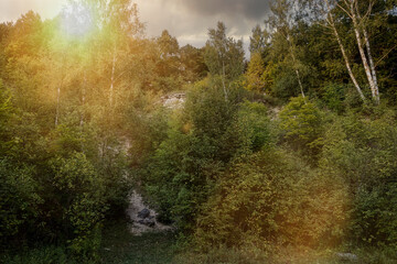 Scenic sunset in the woods with sunbeams shining through the lush trees. Stone hill slope sticks out from plants. Forest in the countryside in summer.