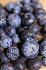 Freshly picked blueberries close up
