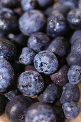 Freshly picked blueberries close up