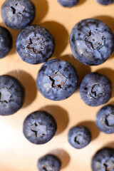 Freshly picked blueberries close up