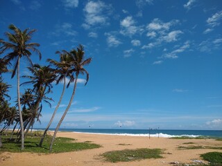 coconut palm trees on the beach, blue sky background, Poovar beach, Thiruvananthapuram Kerala,  seascape view