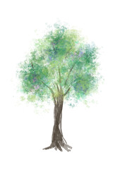 水彩画の樹木　手書きイラスト　ベクター素材　森林　