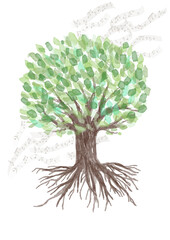 Naklejka premium 水彩画の樹木 音符 音楽会 手書きイラスト ベクター素材 森林 