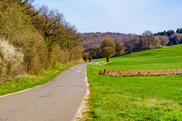 Fototapeta premium Empty country road in France