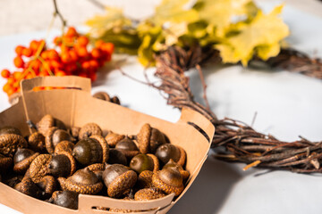 Natural autumn decor of leaves, acorns and mountain ash. Creation of a handmade wreath. zero waste home decor. Blur and selective focus.