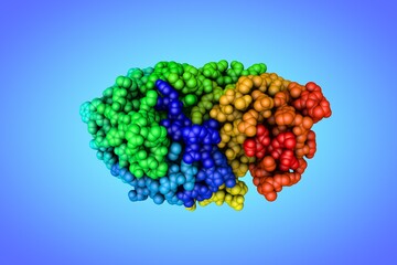 Space-filling molecular model of human salivary amylase. Rendering based on protein data bank. Rainbow coloring from N to C. Scientific background. 3d illustration