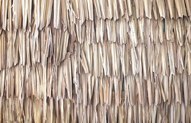 Thatch roof background