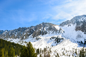Rocky mountains in winter covered with snow and with green coniferous trees. High Tatras-Popradske pleso (lake), Slovakia.
