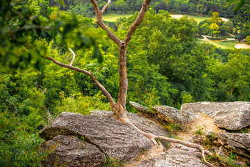 panoramic background of high mountain scenery, overlooking the atmosphere of the sea, trees and wind blowing in a cool blur, spontaneous beauty