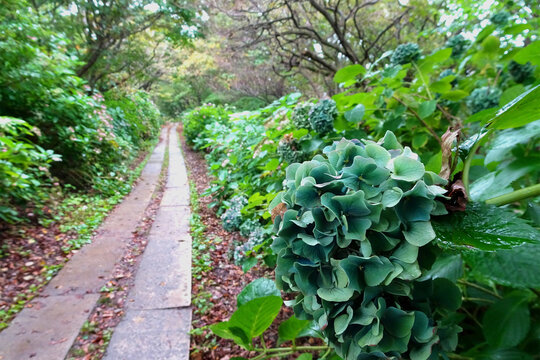 261 Best 弥彦山 Images Stock Photos Vectors Adobe Stock