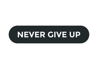 never give up text motivational words button. rounded shape web button