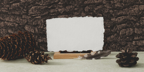 Blank torn edge paper card  in forest style composition. Bark background and cone.