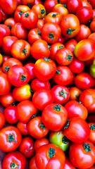 Red tomatoes are for sale !!