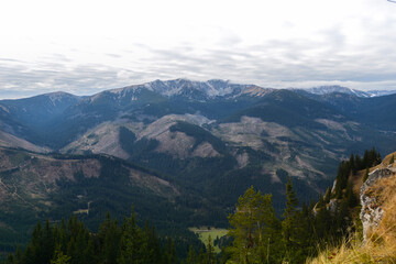 Simply photo of green trees with blue sky and clouds. Low tatras, Janska valley Slovakia.