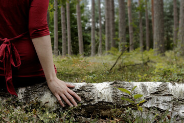 Woman in red dress sits on fallen birch tree trunk in natural forest. Nature connection concept.