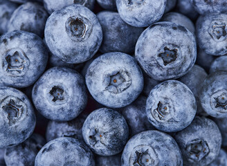 Fresh blueberries background. Vegan and vegetarian concept. Macro texture blueberry berries close up, top shot.