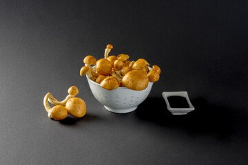 Delicious Gold cap mushrooms, fresh and raw in a white bowl made of rice grain porcelain, a small bowl of soy sauce, close-up on black background