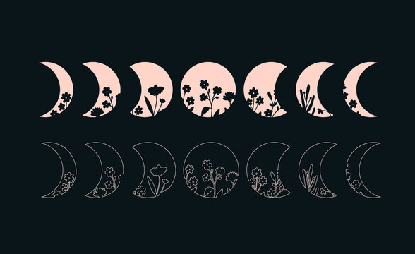 Moon phases with floral. Bohemian phases of the moon illustration. Silhouette and outline