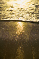 sunset on the beach. golden reflection on the sand.