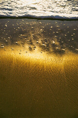sunset on the beach. water on the beach, water drop on the beach. gold on the sand, gold beach. golden beach. golden hour cast gold light on the beach by the ocean.