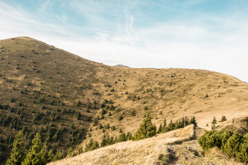 View from Mala Fatra national park. Panoramic mountain landscape in Slovakia near Terchova. Autumn colors of nature.