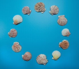 Round marine frame border made of seashells on a blue background design template with an empty space for text.