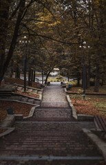 Obraz premium alley in the park