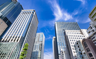 Fototapeta na wymiar 爽やかな朝の光に照らされた東京のビル群