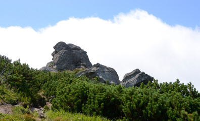 mountain landscape 