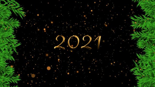 Animation of 2021 and christmas tree branches on black background