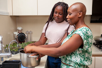 Mother and daughter cooking in kitchen