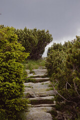 footpath to the mountain