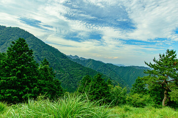 Obraz premium landscape with sky