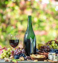 Grapes, bottle of wine and different cheeses on country wooden table and blurred colorful autumn background. Variety of products as the symbol of autumn abundance and prosperity.