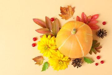 Thanksgiving Day composition with pumpkin on beige background