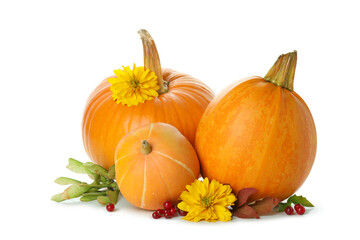 Thanksgiving Day pumpkins isolated on white background