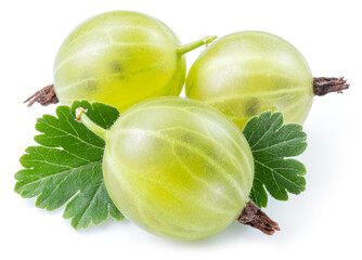 Three green ripe gooseberries with leves on white background. Close-up. - obrazy, fototapety, plakaty