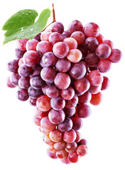 Bunch of pink grapes with a grape leaf isolated on a white background.