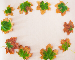 Naklejka na ściany i meble frame made of autumn maple leaves
